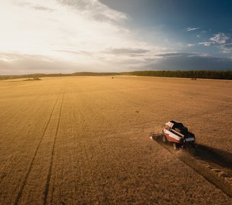 Уборка урожая