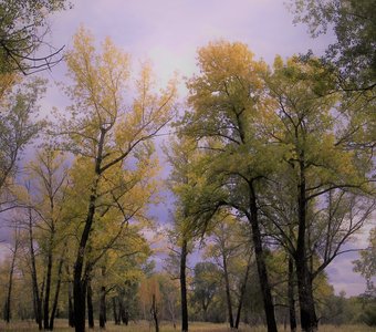 Пограничное состояние