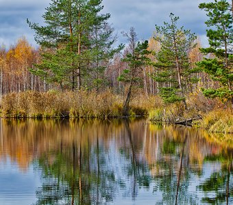 Живописные болота Ивановщины