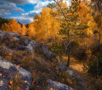 Уж небо осенью дышало…