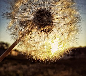 На исходе дня