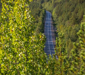 В таежной рамке