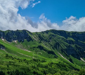 «Альпийские луга России»