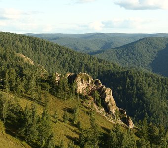 Зелёное море тайги