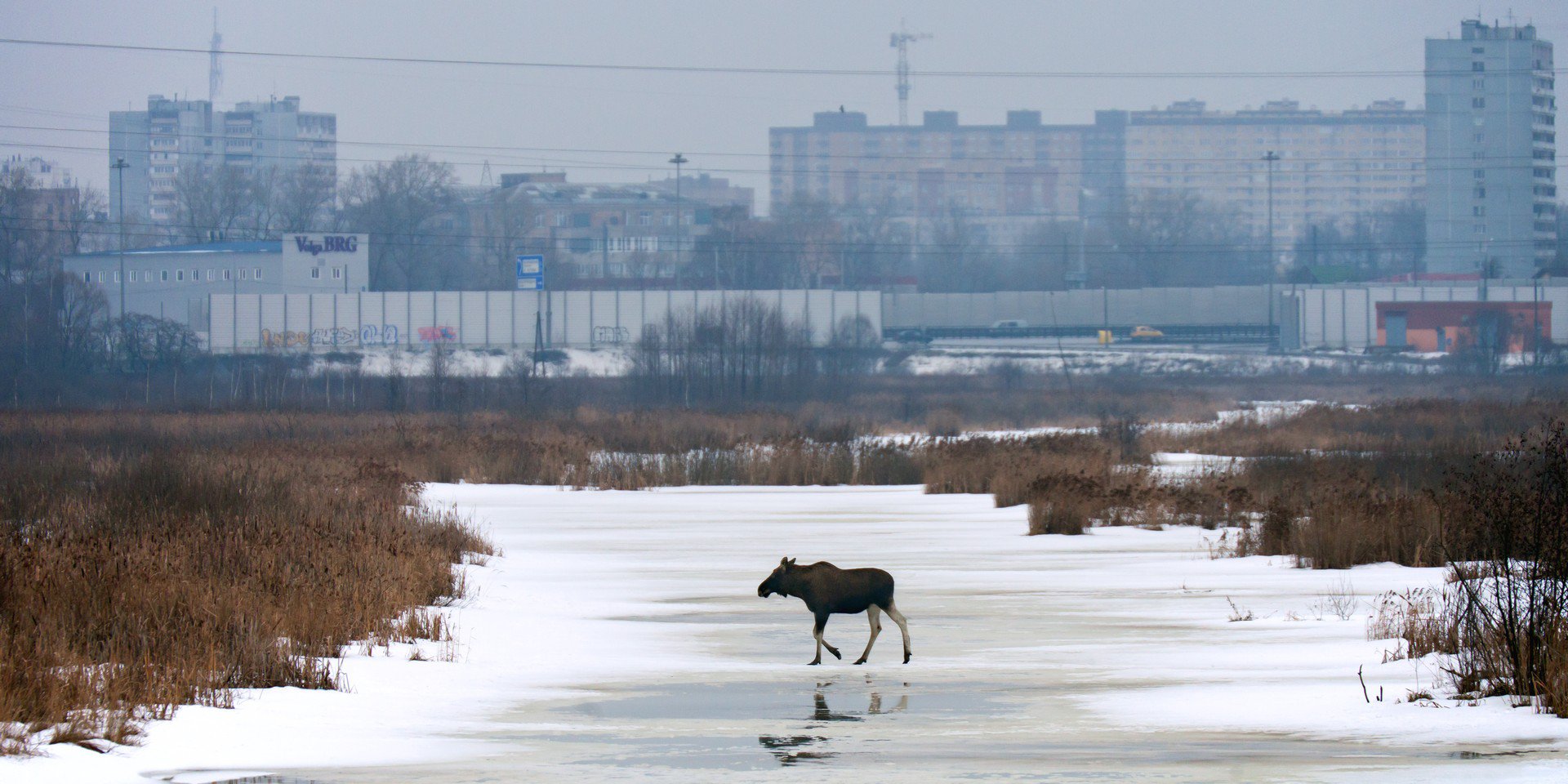 Два мира