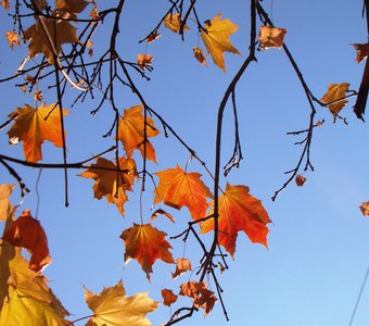 Счастливый октябрь