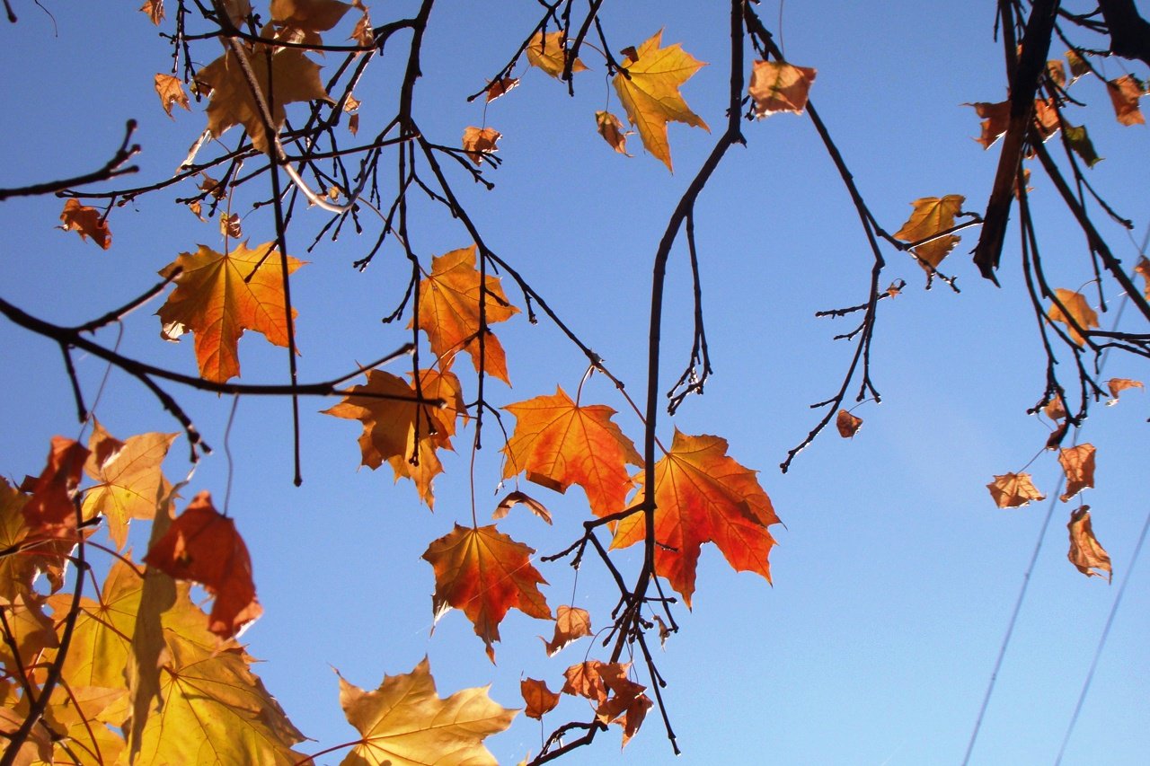 Счастливый октябрь