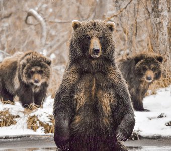 Мамочка поймай нам рыбку