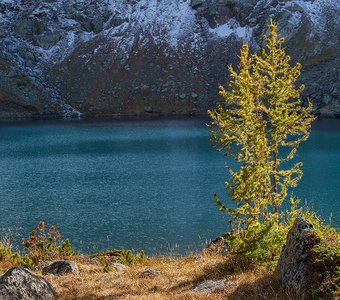 Подбелковое