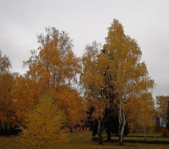 Осень золотая