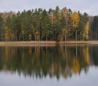 остров на оз.Чистик, Смоленское Поозерье