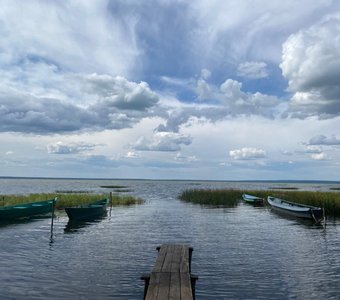 Переславль-залесский, лодки в камышах