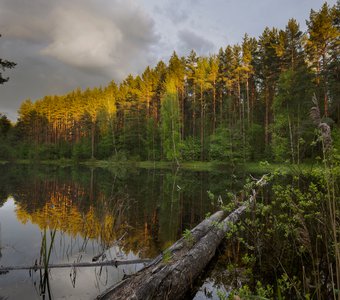 Закат на лесном озере