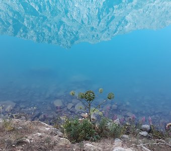 Голубая мечта