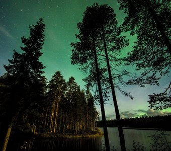 Лунный свет