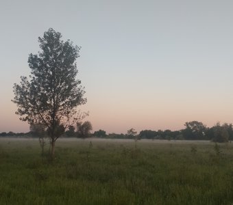 Нежный рассвет