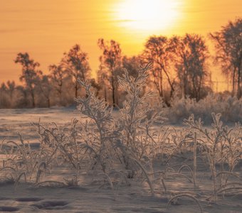 Зимние узоры