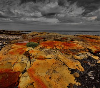 Красные камни Баренцева моря.