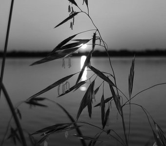 Закат в черно-белом