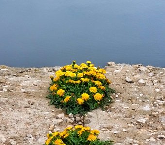 Над бездной.