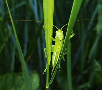 А что это вы здесь делаете,а?