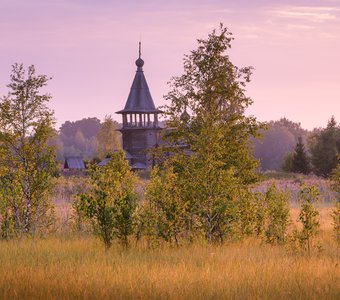 Утро с оттенком иван-чая