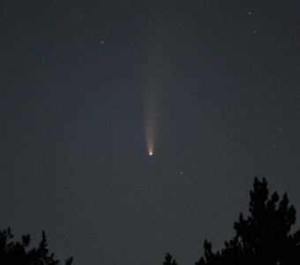 комета Неовайз (C/2020 F3) в самой яркой фазе.