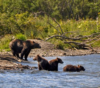Семейные купания