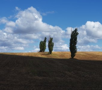 Время убранных полей