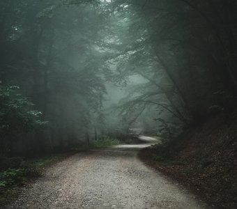 Дорога в таинственном лесу