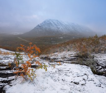 Первый снег