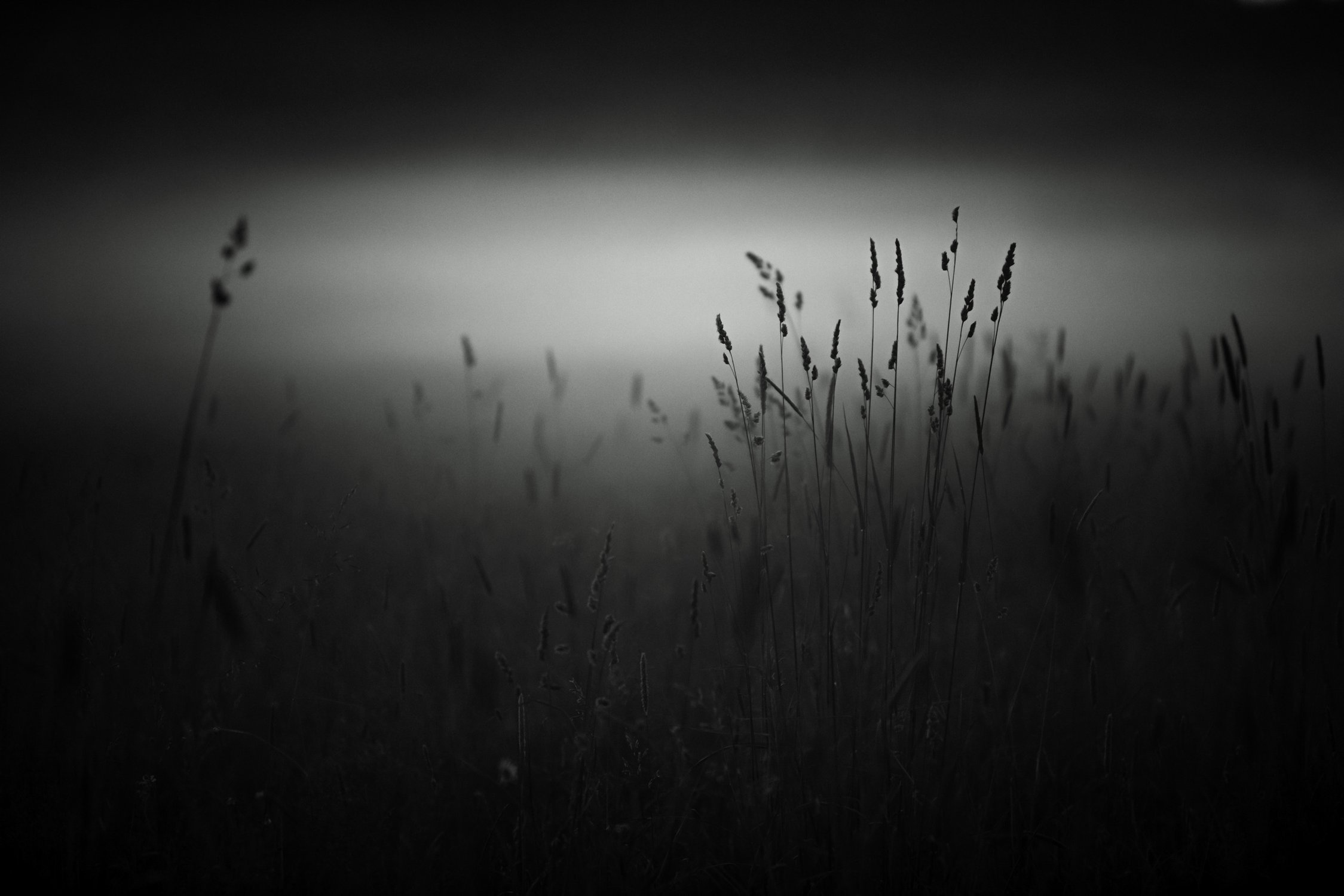 Летний вечер