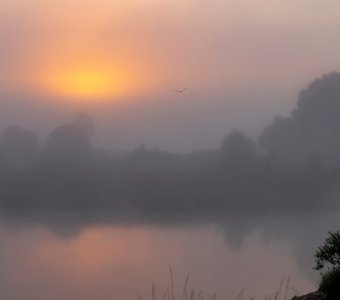 Раннее утро