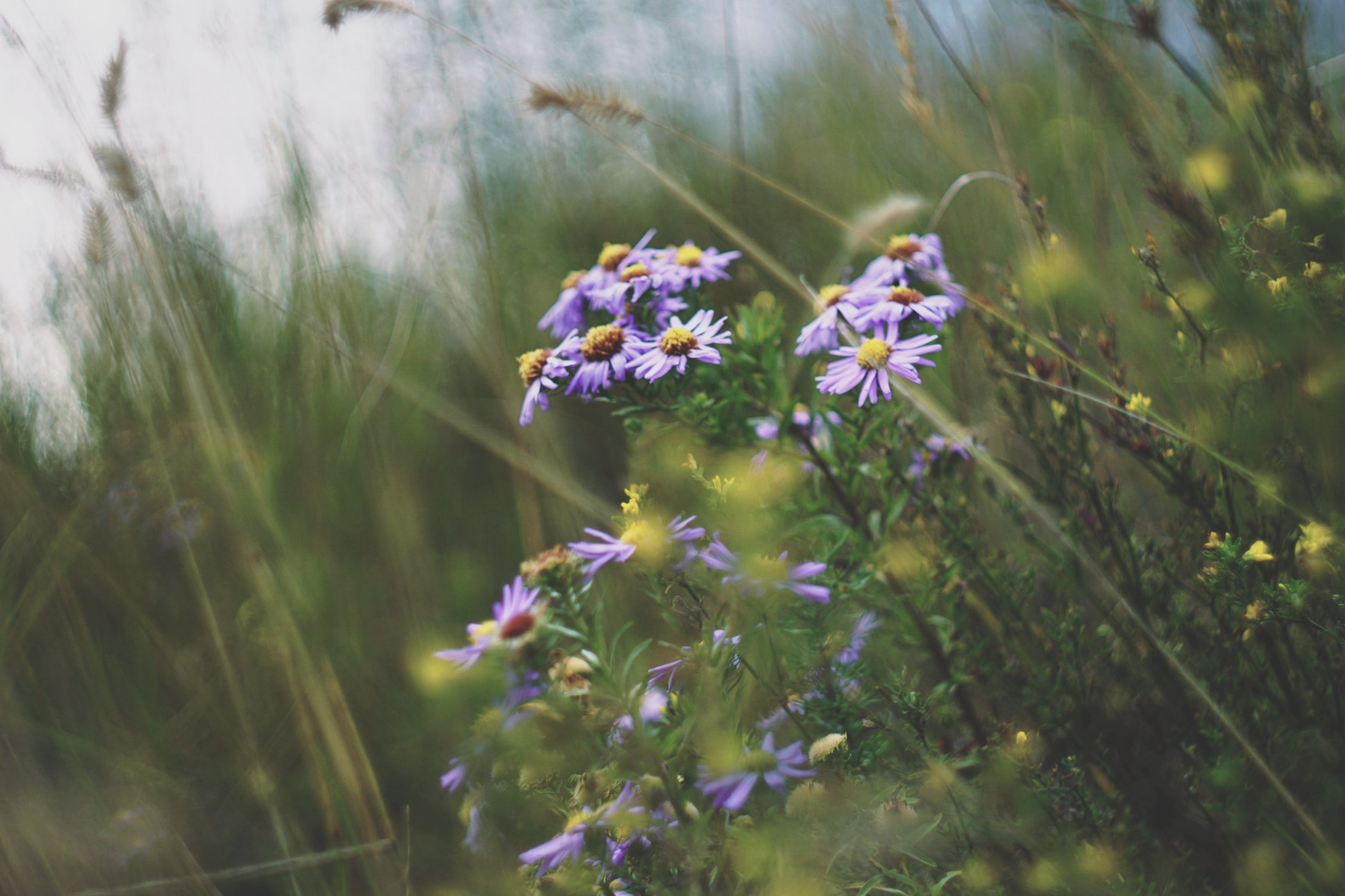 Предчувствие осени
