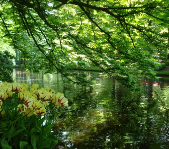 Природная красота.