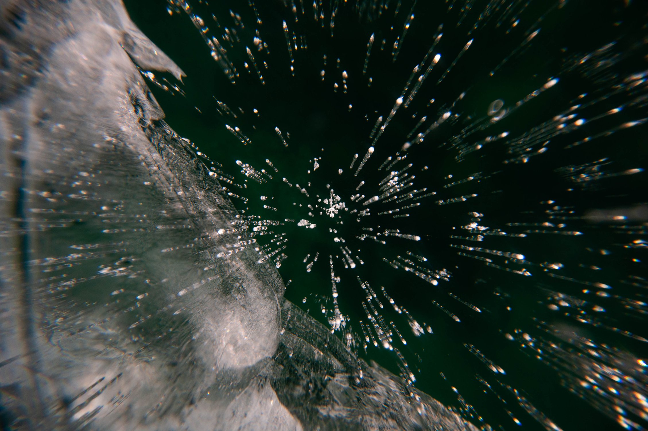 Ледяные гвоздики