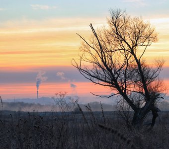 Разноцветные сны декабря