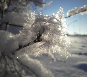 Снежинки