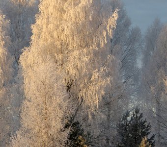 Заиндевевший мир