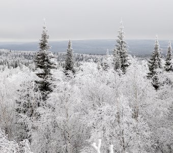 Покрывало для теплолюбивых