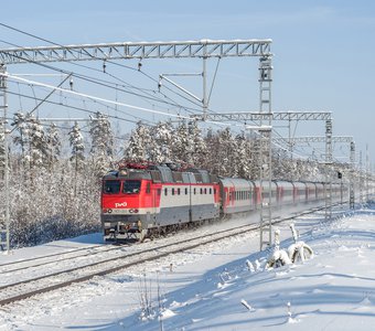 Скорый поезд Томск - Москва