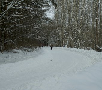 Зимний пейзаж