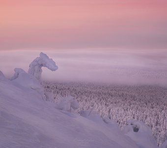 В царстве снежного дракона