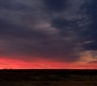 Краски ноября