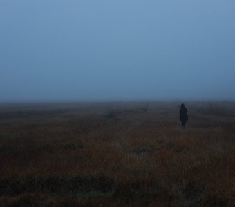 Туманное осеннее поле