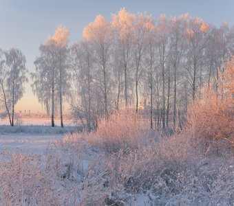 Морозное утро в Ярославле