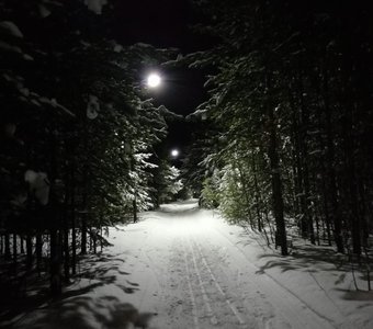 Вечером на лыжне
