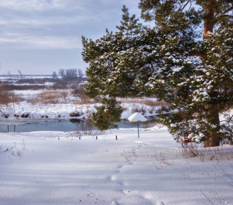 В лучах скромного зимнего солнца