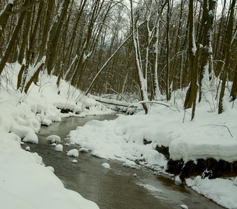 Зимний пейзаж в Москве