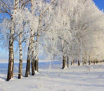 Зима в Брянской области.